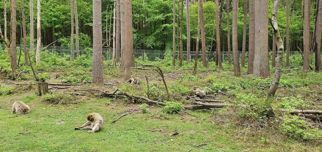 Imbiss_Malchow_slider_image_3