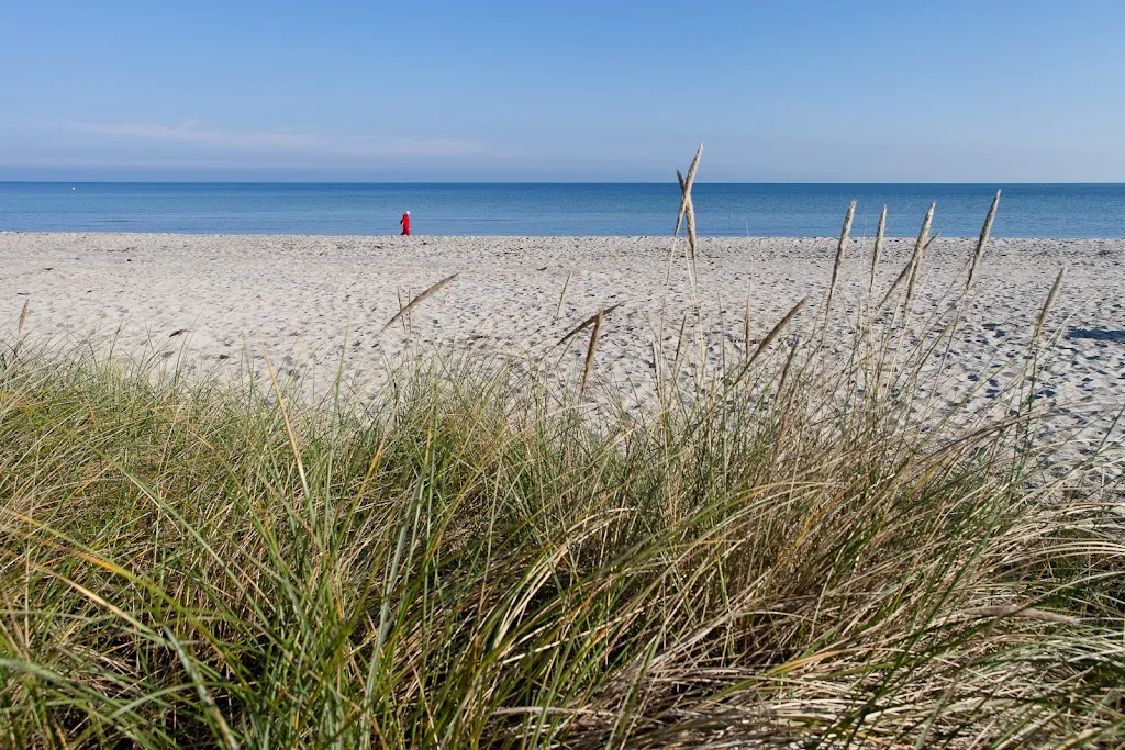 Villa Seebach - Hotel & Restaurant_Boltenhagen_slider_image_3