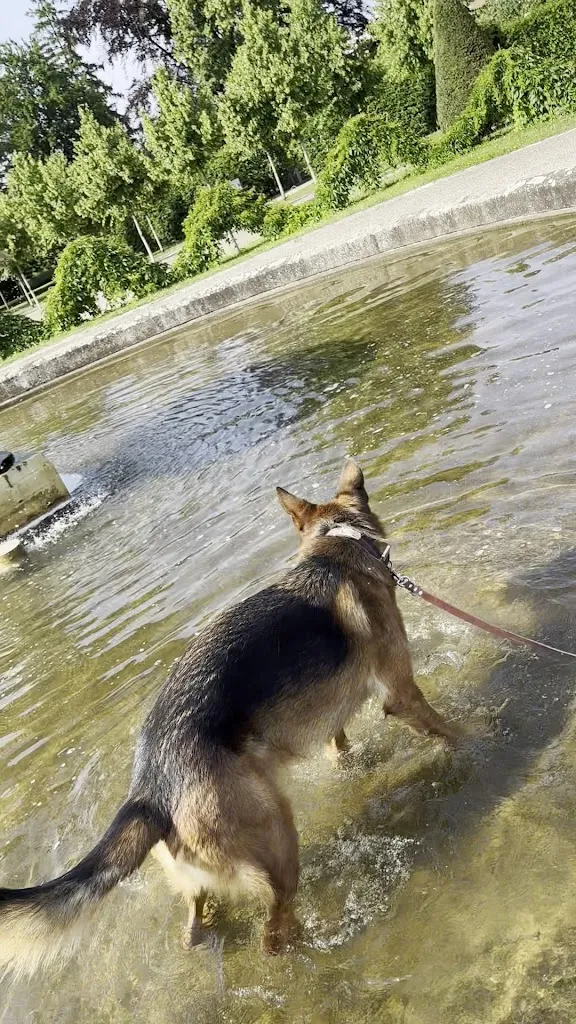 Beatrice Prell_Neustrelitz Castle Garden_Neustrelitz_review