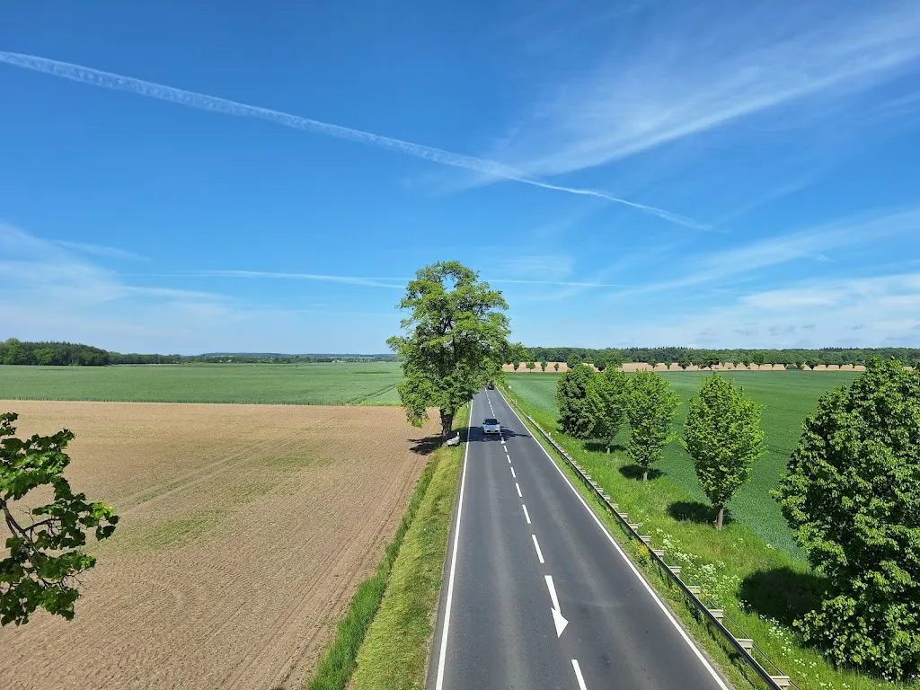 Graf Ziegenwallus_Raifs Bistro_Penzlin_review