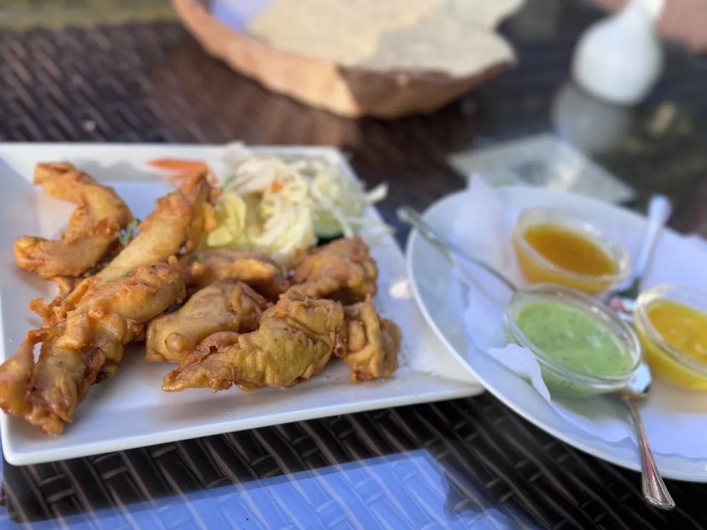 Menu_Krishna Haus -indian specialities restaurant im englischen Garten Neuburg_Donau_image_9