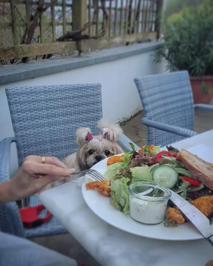 Menu_Arco Schlösschen_Donau_image_7