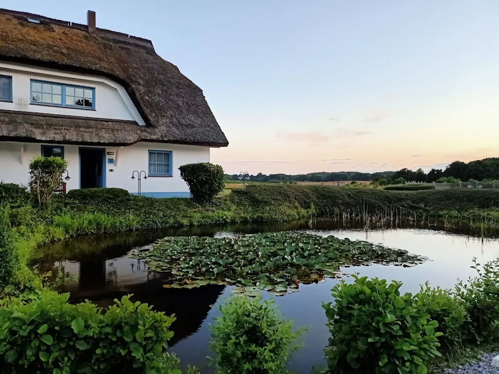 Restaurant KOXorange_Putbus_slider_image_3