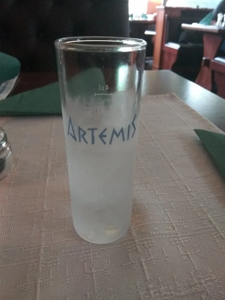 Menu_Restaurant Artemis_Preetz_image_6