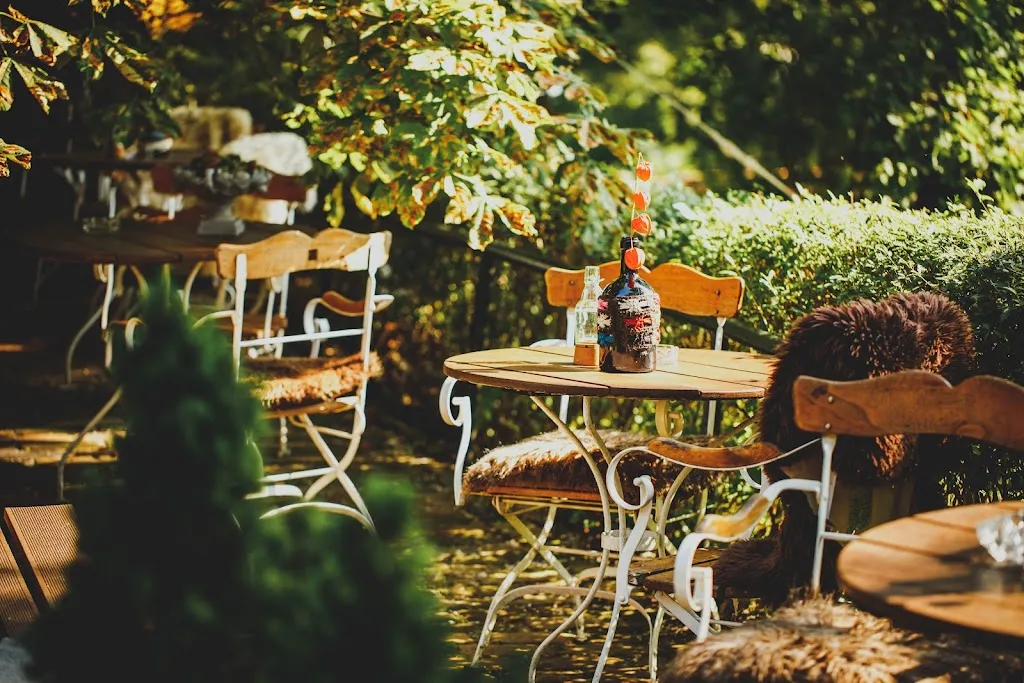 Bachstelze restaurant in Erfurt
