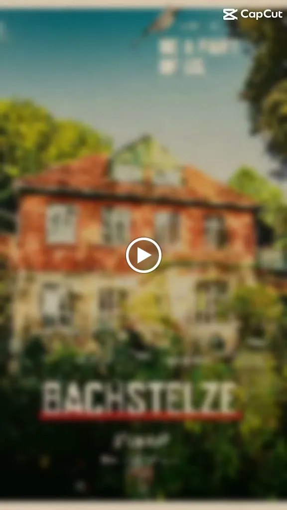 Bachstelze_Erfurt_slider_image_2