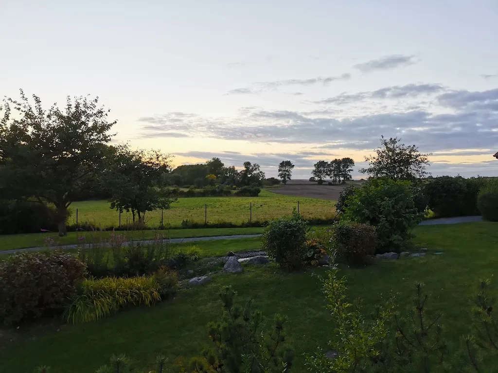 Jochen_Restaurant Der Wilde Schwan_Sagard_reseña