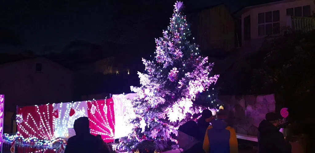 Altstadt Brasserie Sassnitz_Sassnitz_slider_image_2