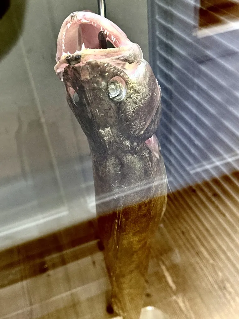 Christopher Starling_Restaurant Landhaus_Rheineck_review