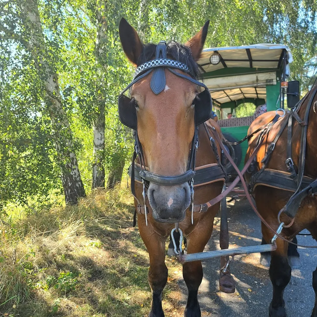 Kutscherstube_Matzlow-Garwitz_slider_image_3