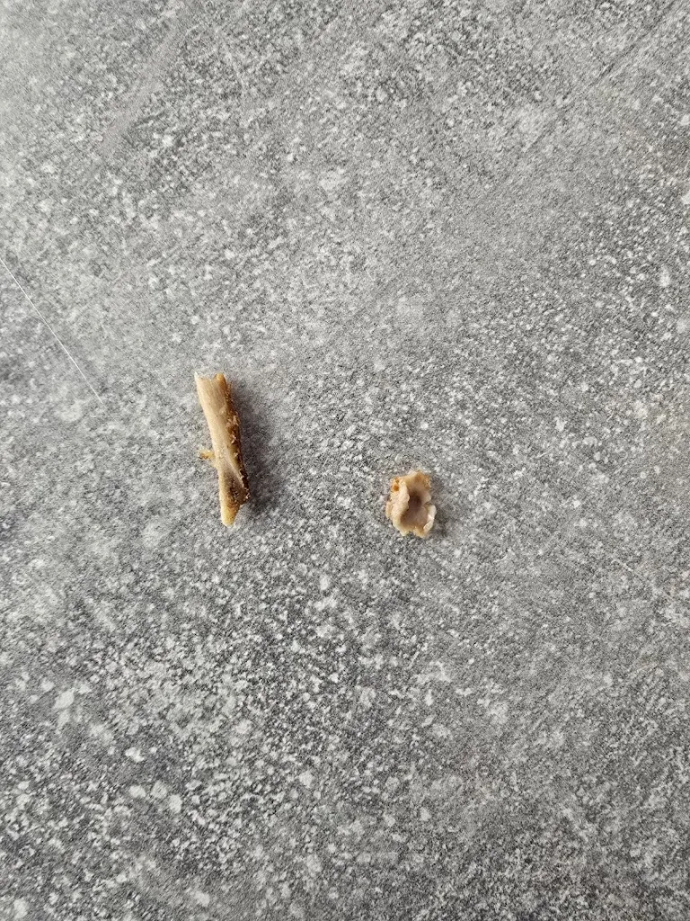 Sergiu Brinza_Alicay Grill & Pizzeria_Steinhagen_review