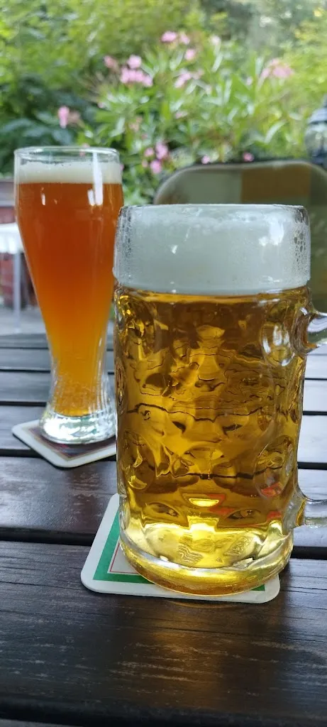 Menu_Waldgaststätte Hohes Holz_Teterow_image_5