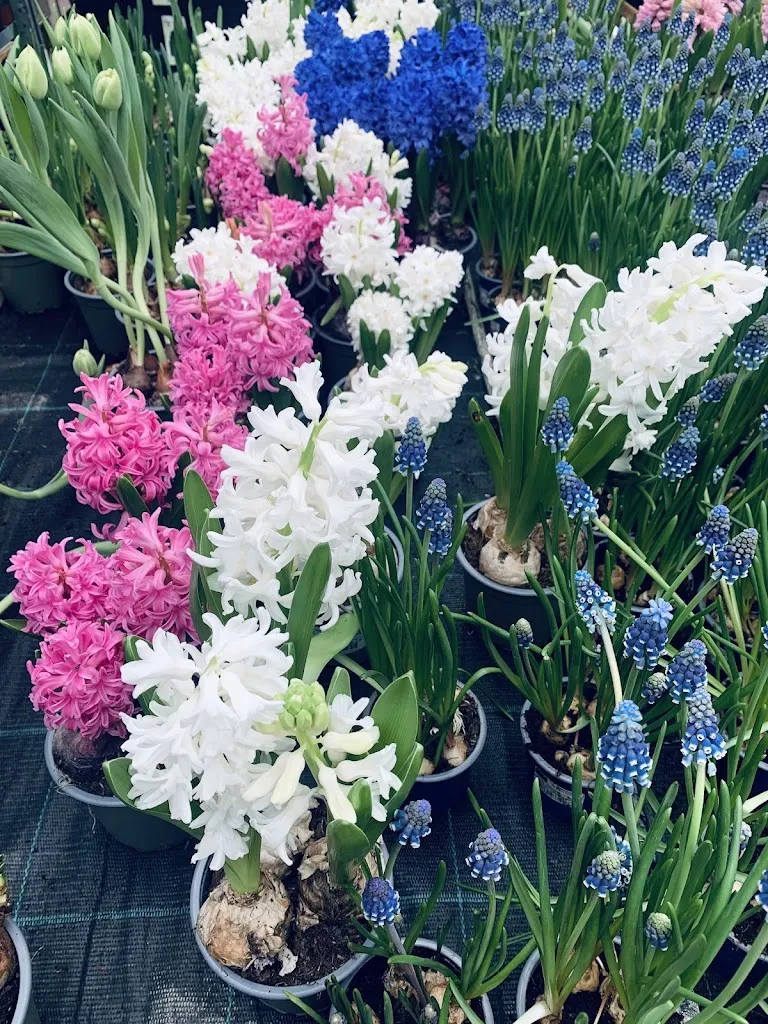 Deutsches Haus Torgelow_Torgelow_slider_image_2