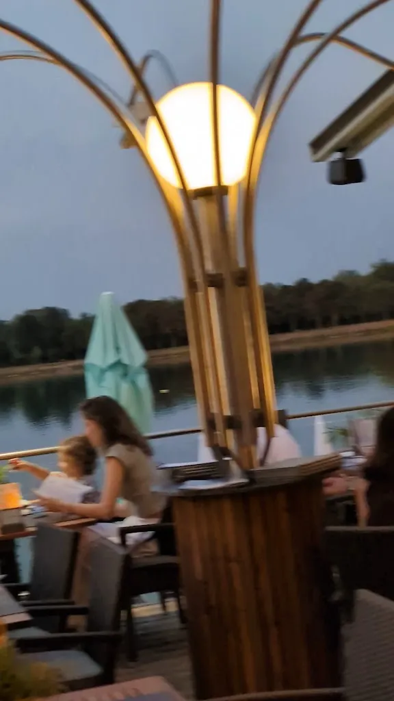 Andreas A. (Andy)_Thalhammers_Austria_avis