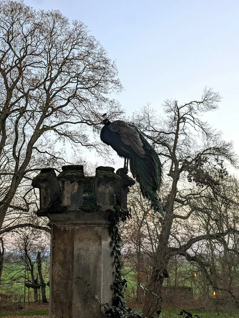 Café V_Lalendorf_slider_image_3