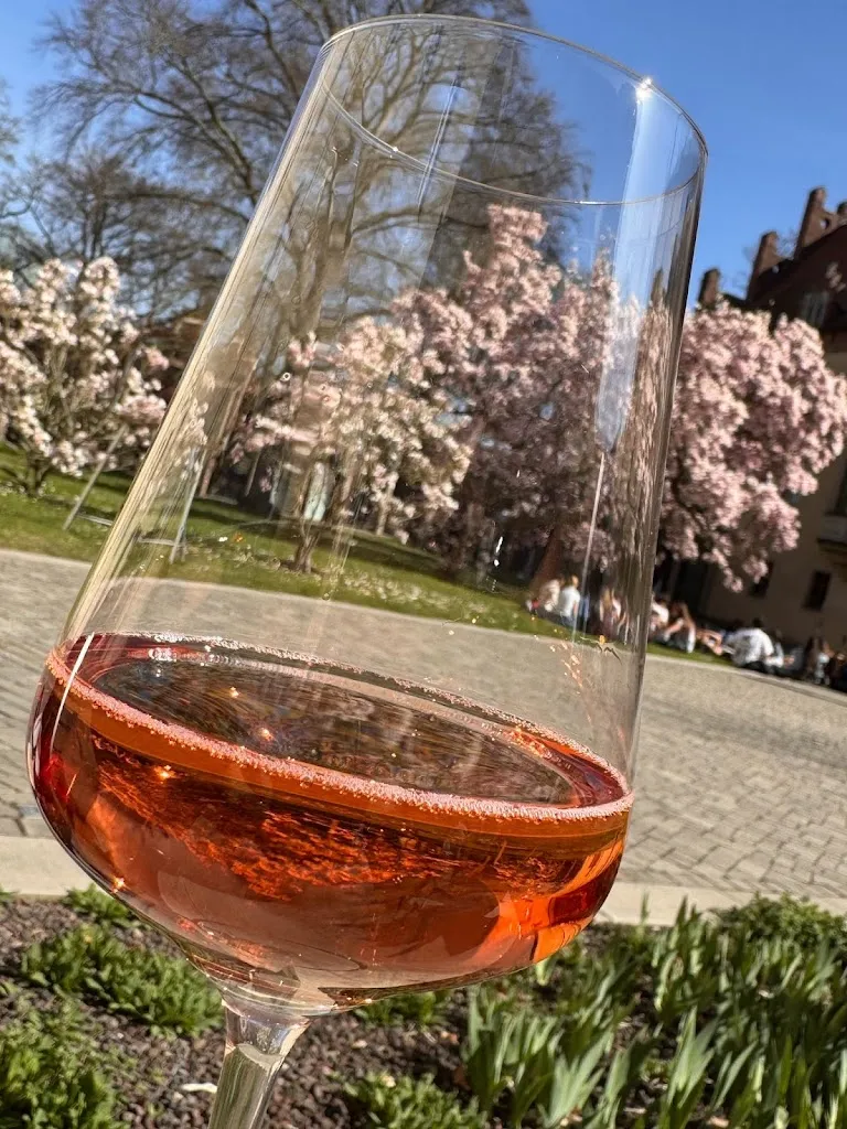 Nenu_von Bora - Restaurant by martas_Wittenberg_review