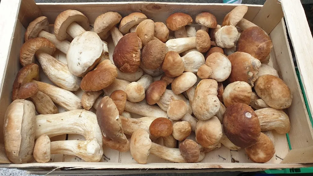 Grotto Morchino_Pazzallo_slider_image_3