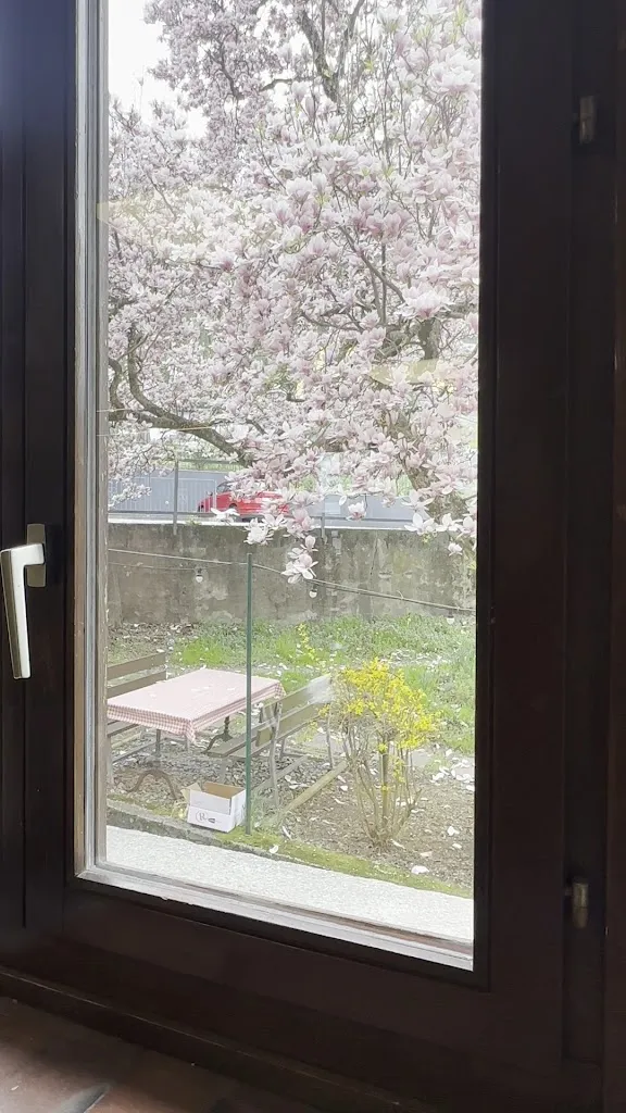 Silvio Schembri_Grotto Ponte Vecchio_Camorino_review