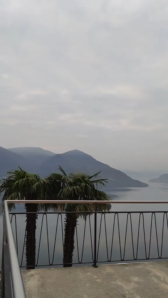 mina ali_Ristorante Al Braciere_Ascona_review