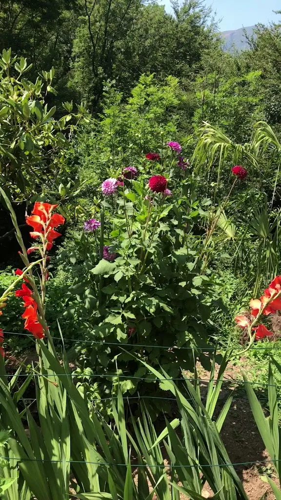 Hotel & Spa - Ristorante Cacciatori_Cademario_slider_image_1