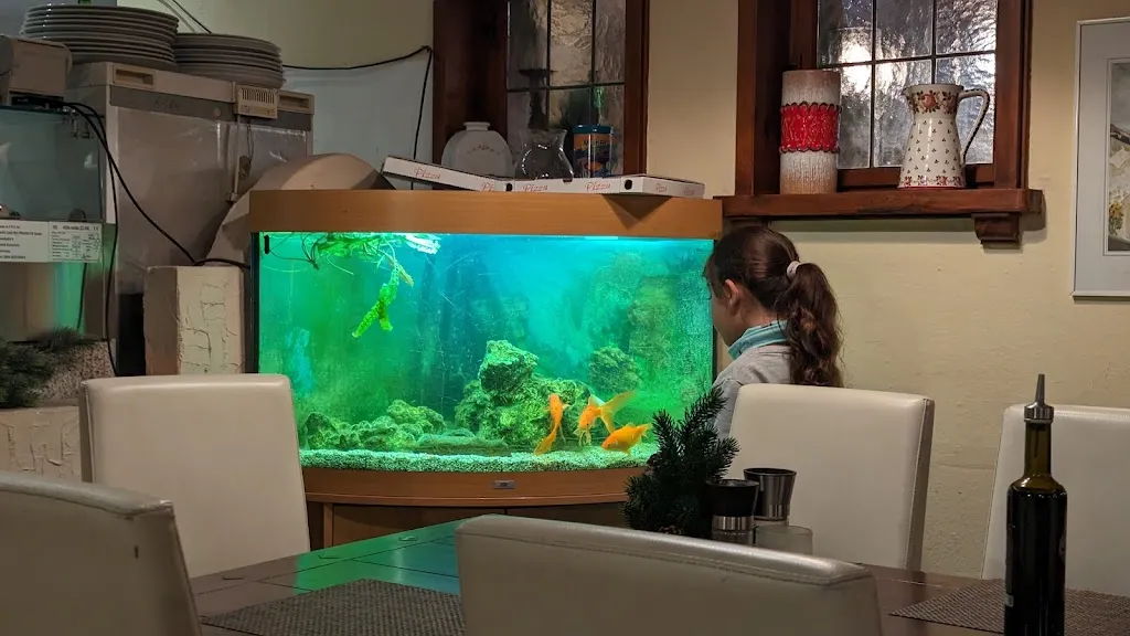 Alpha Centauri_Castel del Monte - Leonardo Allegretta_Feldkirchen-Westerham_avis