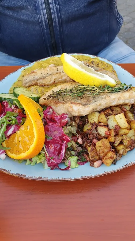 Mar Noe_Waldhaus_Zingst_review