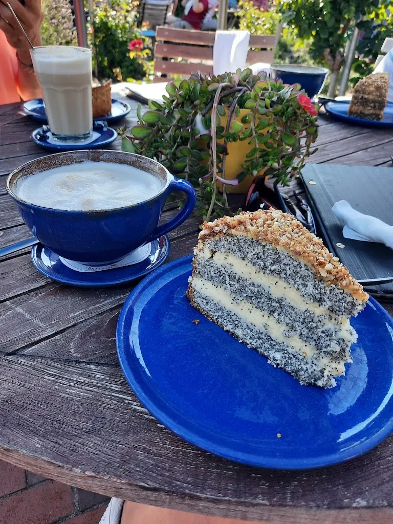Menu_Café Rosengarten_Zingst_immagine_6