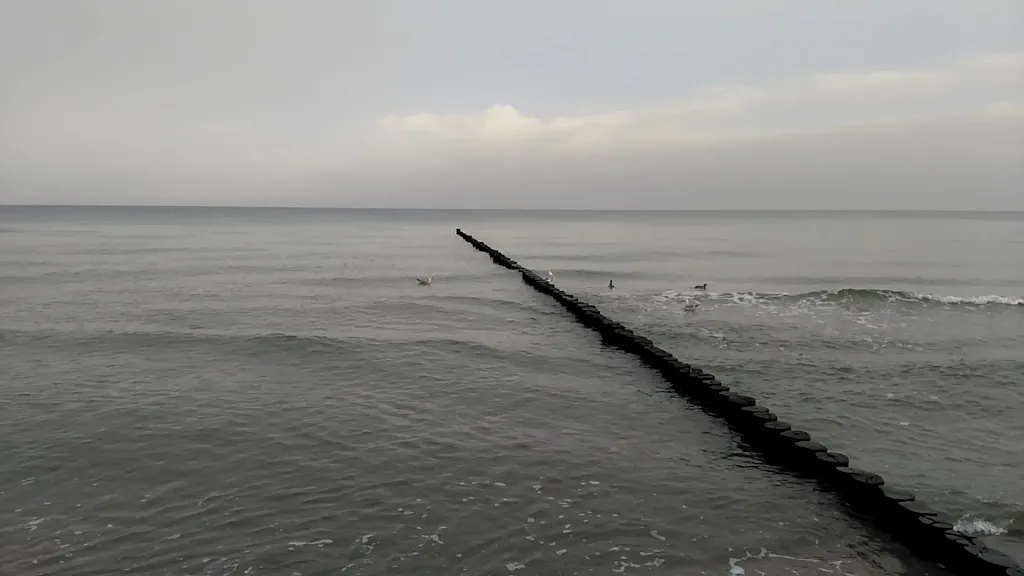 Hotel & Restaurant Seebrücke restaurant in Zingst