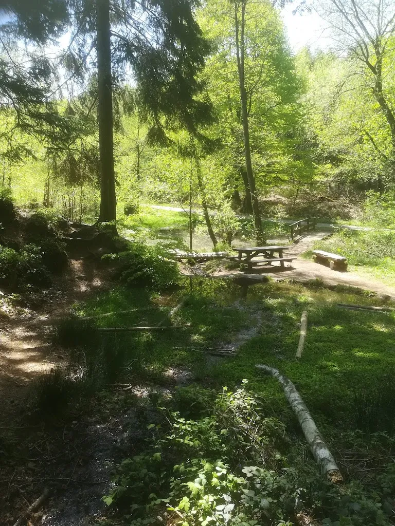 Wanders Mann_Driburger Grund_Altenbeken_reseña