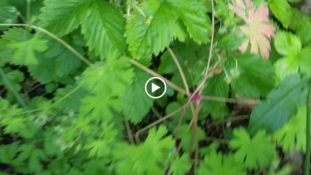 Klemens Geuker-Wiedemann | Landgasthof & Spirituosenmanufaktur_Altenberge_slider_image_2