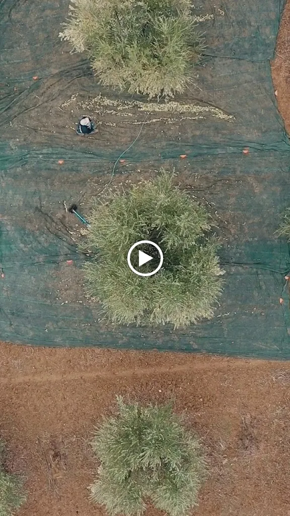 Ristorante Pinocchio_Alsdorf_slider_image_2