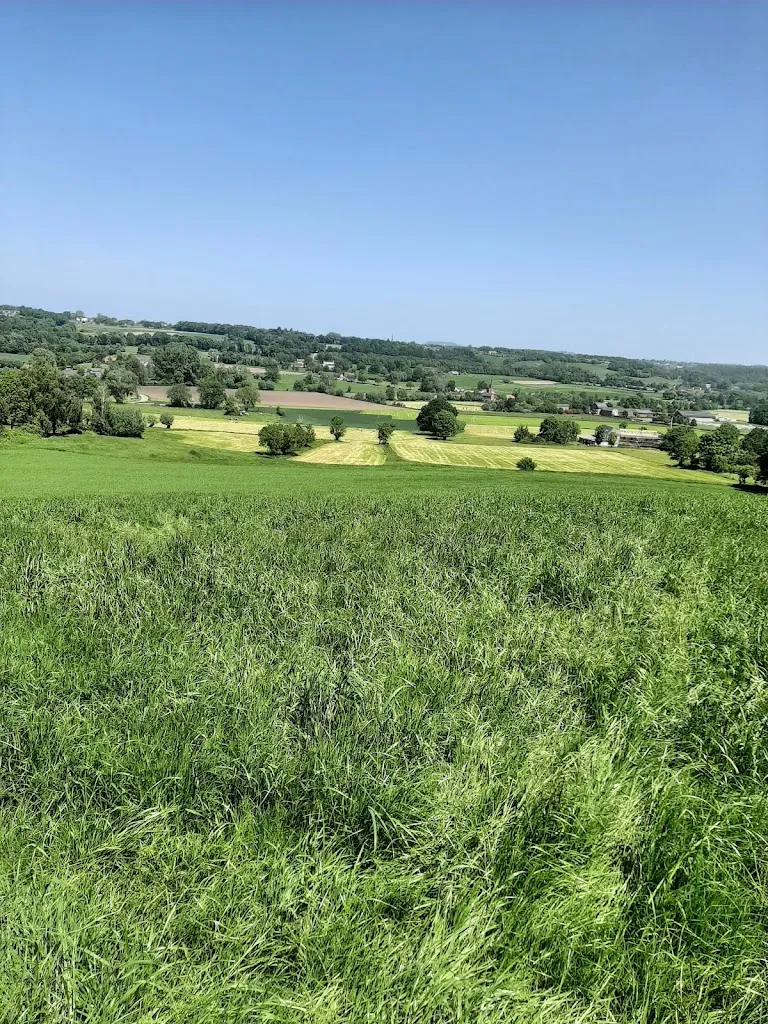 Terrasse restaurant in Alsdorf