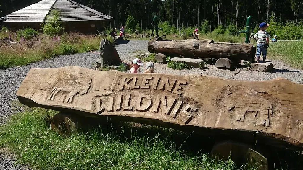 WisentWildnis Wittgenstein gGmbH_Berleburg_slider_image_2