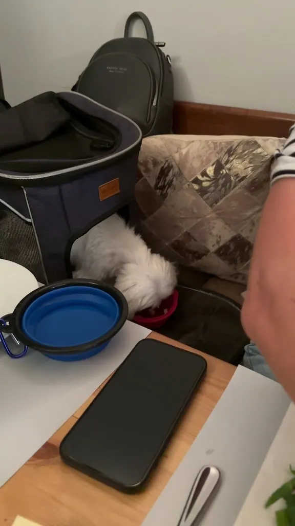 Vladyslav Dracula_Ristorante Toscanini_Köln_review