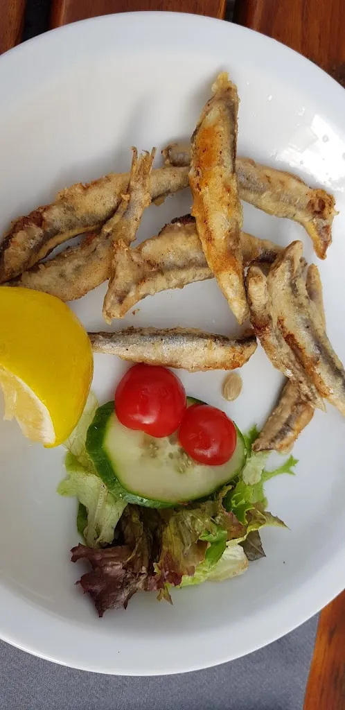 Menu_Anleger 640_Honnef_immagine_6