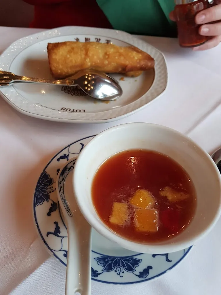 Menu_China-Restaurant Lotus_Honnef_immagine_4