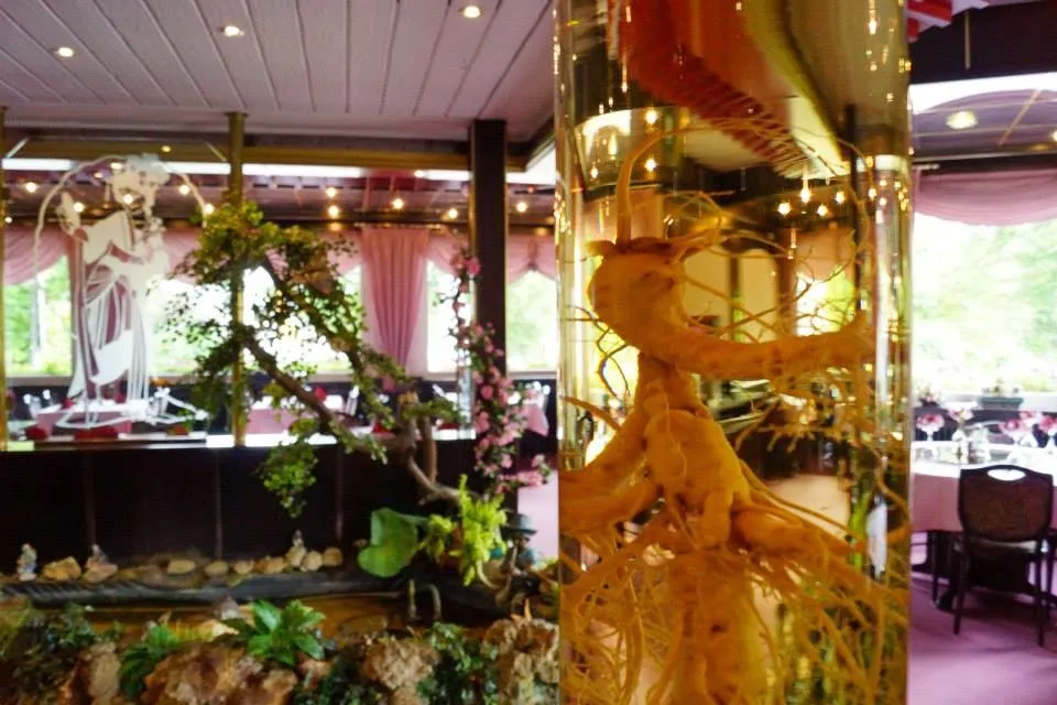 China-Restaurant Lotus_Honnef_slider_image_3