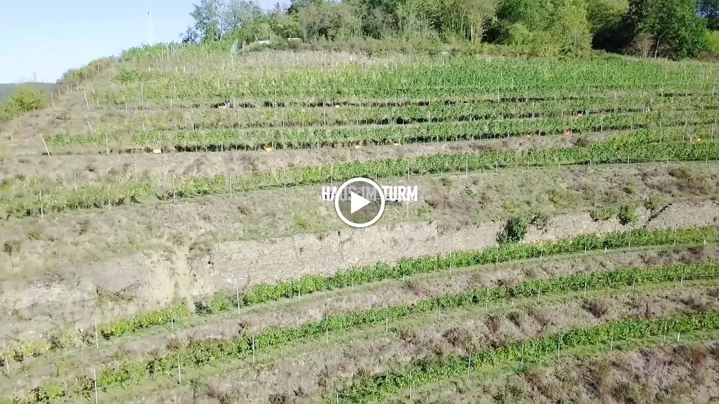 Haus im Turm - Rhöndorfer Gasthaus _Honnef_slider_image_2