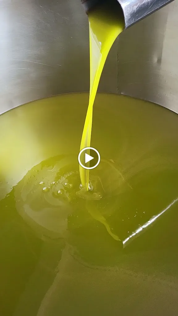 Da Michele Ristorante Pizzeria_Frasdorf_slider_image_2