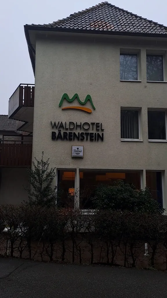 Rianthie Hanazk_Waldhotel Bärenstein_Meinberg_review
