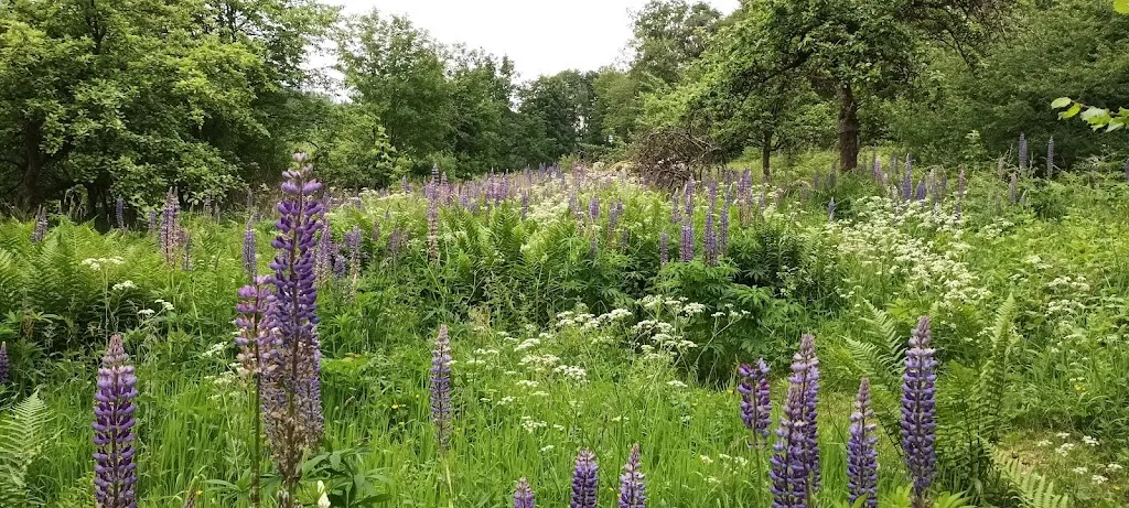 K._Cafe im Grünen_Meinberg_review