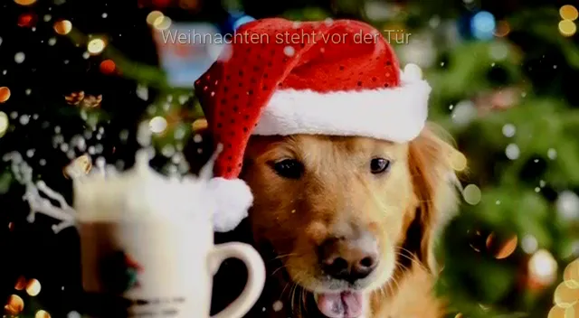 Sky Sportsbar Matchpoint_Meinberg_slider_image_2