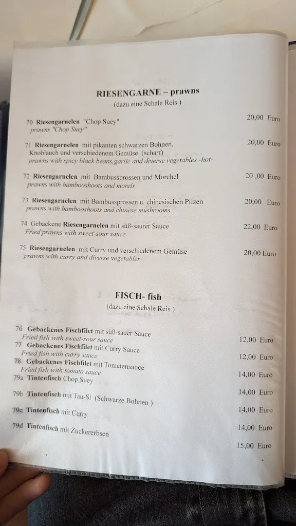 Menu_China Restaurant CAO(chinesisch-indonesische Küche)_Oeynhausen_image_2