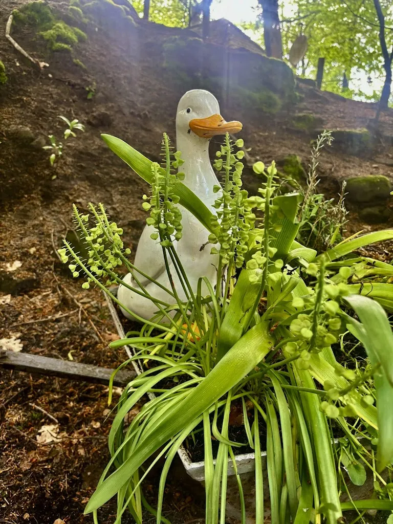 Richard Eckman_Glockenkeller 🍺 Betriebsferien bis 14.08.2025_Forchheim_review