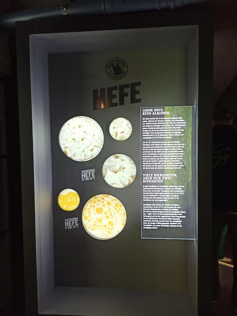 Menu_Alpirsbacher Klosterbräu Glauner GmbH & Co. KG_Alpirsbach_image_2