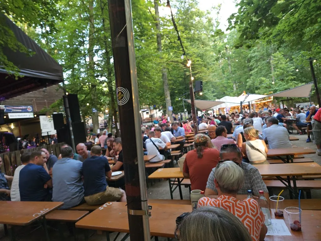 Cosmin Cernea_Neder-Keller_Forchheim_review