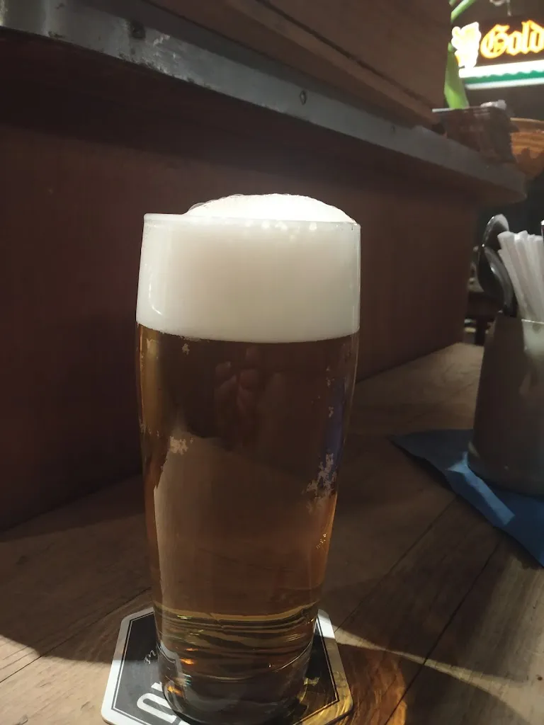 Raghu Iyer_Vogelgässler_Forchheim_review