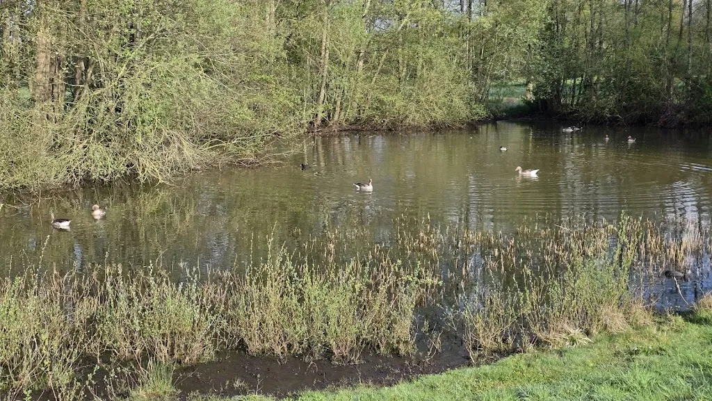 Firma MR_Heide Bistro | Restaurant & Café_Coesfeld_review