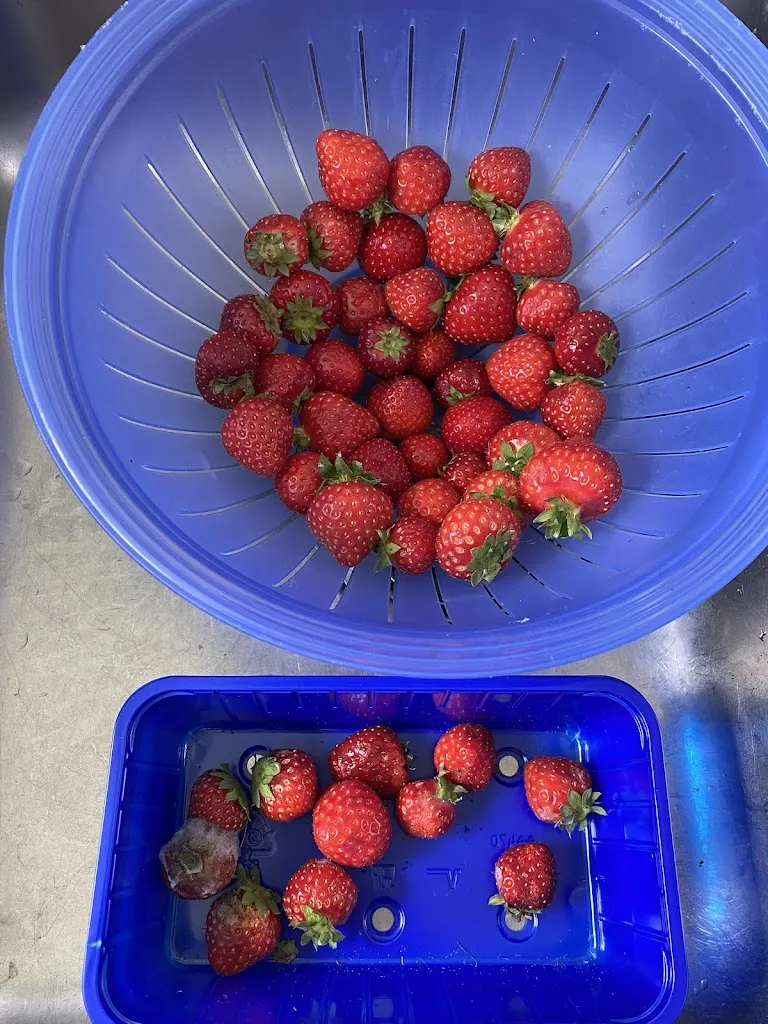 Menu_Möllers Deele_Datteln_image_3