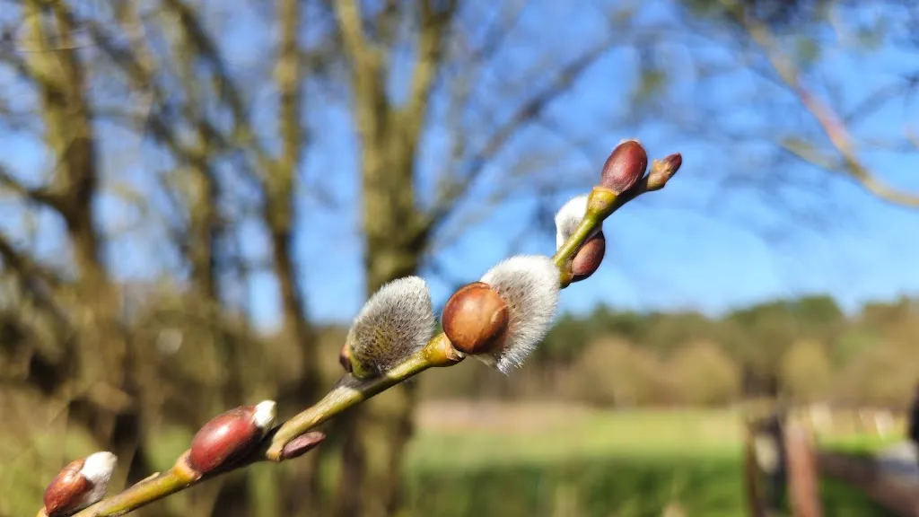 Astrid R._Jammertal Resort_Datteln_review